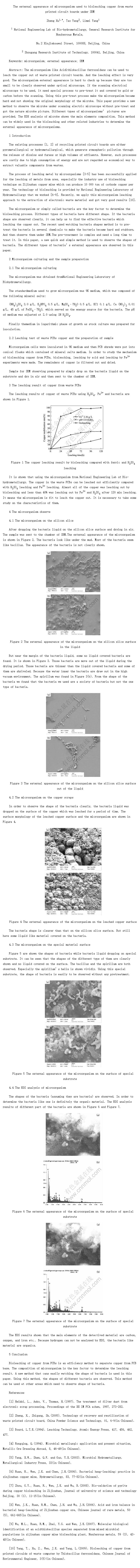 The external appearance of microorganism used to bioleaching copper from waste printed circuit boards under SEM