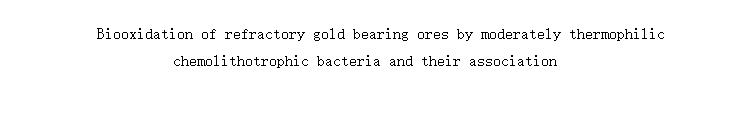 Biooxidation of refractory gold bearing ores by moderately thermophilic chemolithotrophic bacteria and their association