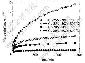 3-t2.jpg