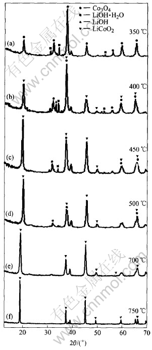 29-t6.jpg