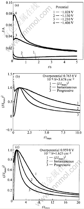 30-t5.jpg