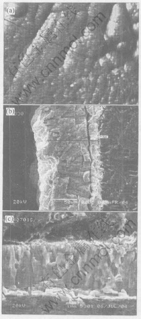 2-t1.jpg