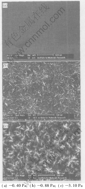 3-t1.jpg