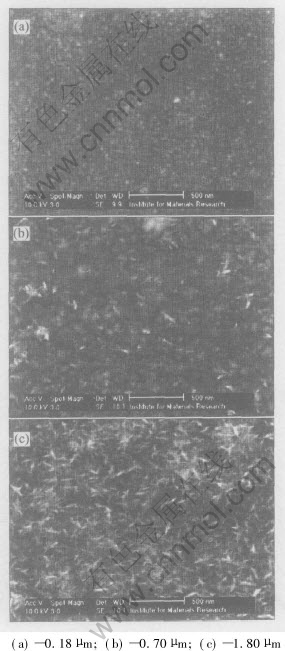 3-t3.jpg