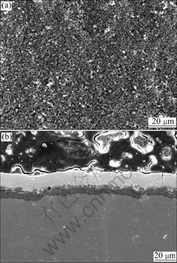复合溶胶-凝胶法制备TiAl合金表面防护涂层及其