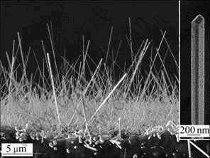 一维金属纳米材料的研究进展-有色金属在线