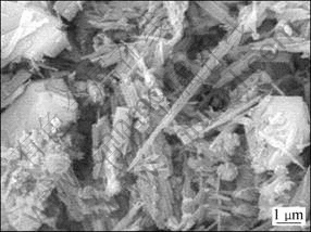焙烧-活化过程中湿氟石膏的化学相变体特征及改性机理