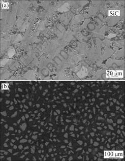 高性能SiC增强Al基复合材料的显微组织和热性