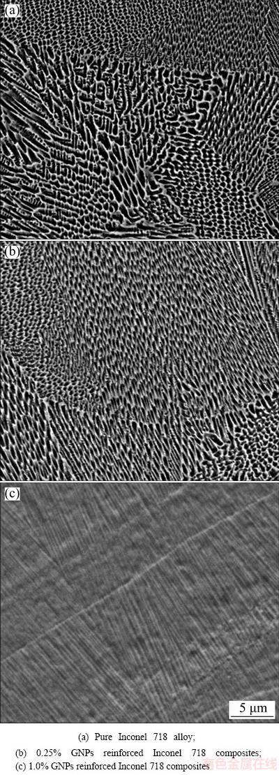dendrite,follicle dendrite structures observed by sem for cross-sections
