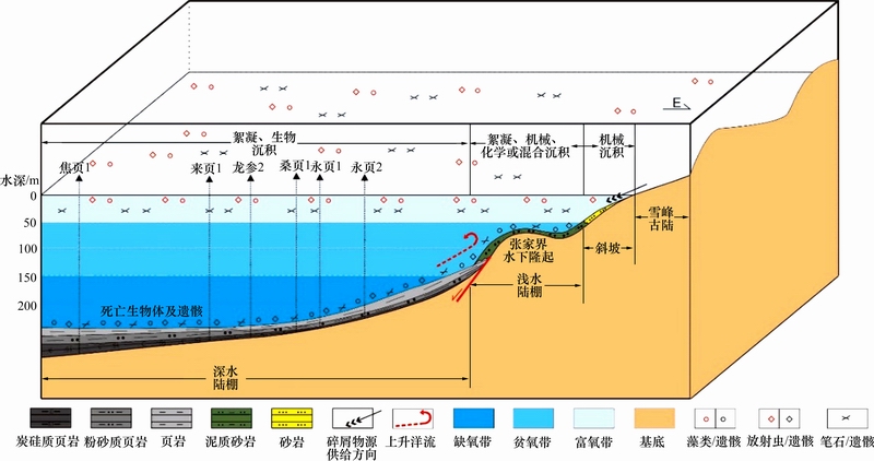 页岩气概念股_页岩气_美国页岩油还是页岩气