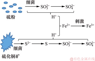 FX_GRP_ID8000407F