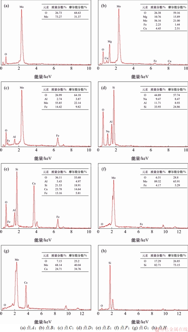 FX_GRP_ID80006015