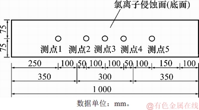 FX_GRP_ID800041C5