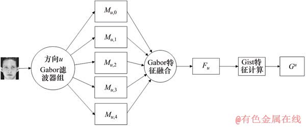 FX_GRP_ID80002165