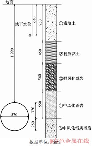 FX_GRP_ID80004C08
