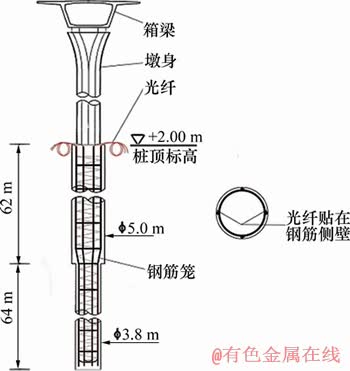 FX_GRP_ID8000253F