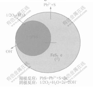 颗粒表面电化学反应电荷传递模型及其浮选意义