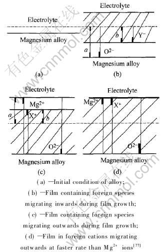 2-t5.jpg