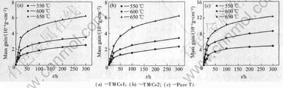 5-t2.jpg