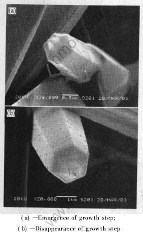 17-t5.jpg