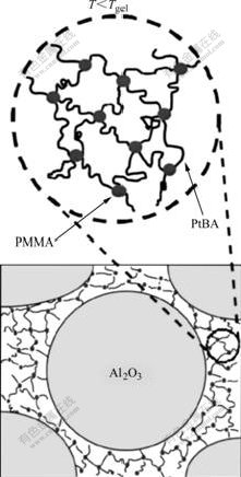 【2015】凝胶注模成型_上海语文中考要求的3
