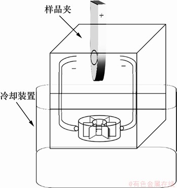 FX_GRP_ID80002F31