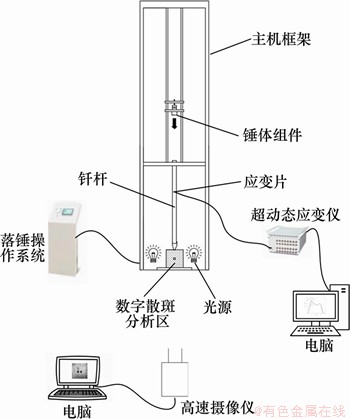 FX_GRP_ID80002BED