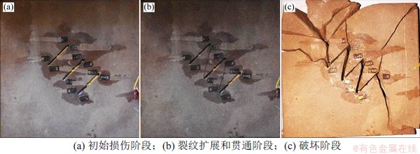 FX_GRP_ID80004FF9