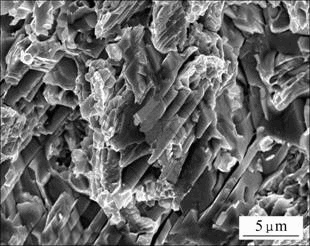 Sn-30Bi-0.5Cu低温无铅钎料的微观组织及其力